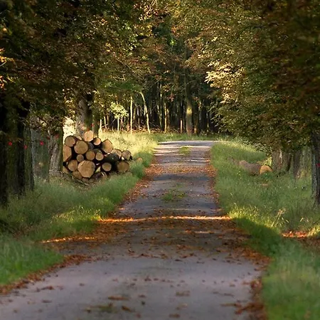 Incredible Safari-Style Retreat For Unique Czech Republic Holidays Semesterbostad